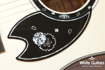 HD-Fuyuzakura’20 A,S/ATB